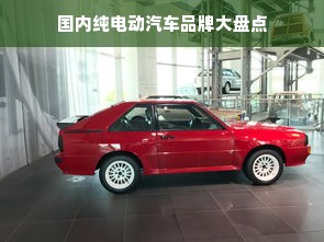 国内纯电动汽车品牌大盘点