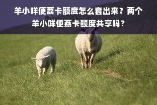 羊小咩便荔卡额度怎么套出来？两个羊小咩便荔卡额度共享吗？