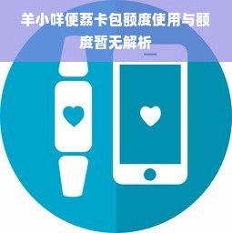 羊小咩便荔卡包额度使用与额度暂无解析